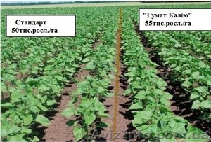 Гумат калия биостимулятор роста растений #1336938