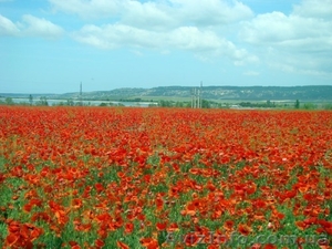 Срочно продам участок 5 соток г. Севастополь #1334658