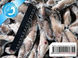 Бычки крупные и средние свежемороженые оптом #1334085