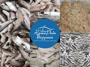 Бычки и тюлька азово-черноморские свежемороженые оптом #1334102