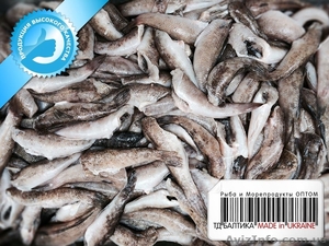 Бычки тушки на шкуре (консервные) свежемороженые оптом #1334100