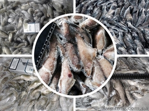 Бычки свежемороженые и продукция из бычков оптом #1334080