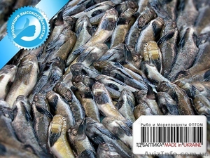 Бычки свежемороженые для переработки (консервные) оптом #1334095