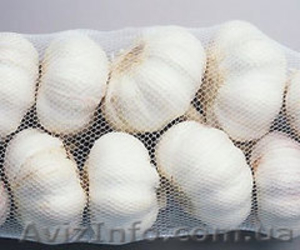 Продам чеснок сорт 