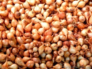 Тыканка #1336258