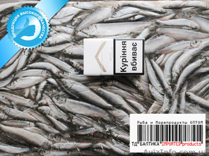 Килька балтийская свежемороженая (томатная группа) Эстония оптом #1334084