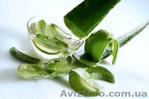 AloeVita – уникальный продукт,  лечебные свойства #1333948