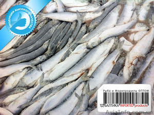 Салака балтийская свежемороженая оптом #1334094