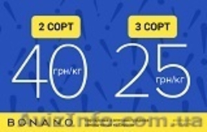 Снижена цена на 2 и 3 сорт сэкэнд хенд. АКЦИЯ!  #1333106