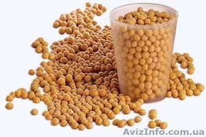 Насіння сої ГМО #1333436