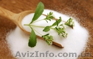 Стевия. Медовая трава. #1335298