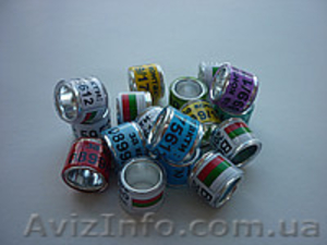 Аксессуары и препараты для голубей #1347715