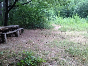 Продается участок в Ялте (Виноградное) 63 сот #1347473