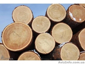  Куплю Лес кругляк #1348441