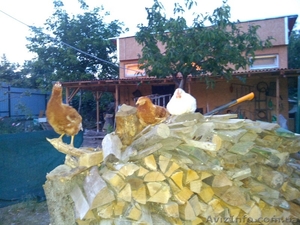 Требуется помощник по хозяйству с проживанием.Барахты #1351691