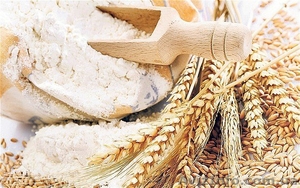 Продам муку. Оптом. Высший сорт. Украина. #1352702