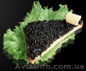 Черная икра (осетр,  стерлядь) #1344899