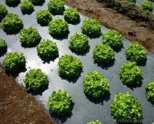 Пленка для мульчирования почвы от производителя в Харькове. #1345880