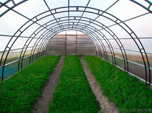 Пленка тепличная из первичного и вторичного сырья от производителя #1347907