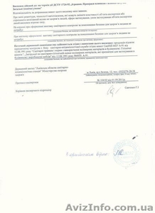 Красивая ель Лидия  #1345541