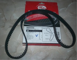 Ремень ГРМ Audi A3,  A4,  TT,  Seat. Gates 5604XS. #1346734