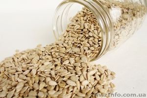 Продам Ядро подсолнечника #1352564