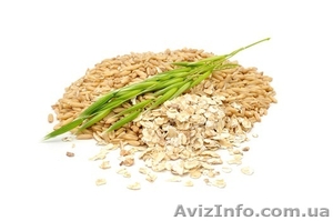 Овсянка оптом. Вівсяні пластівці #1351068