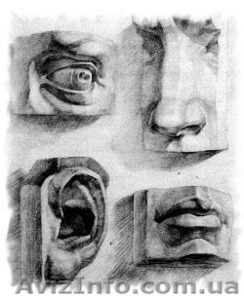 Курсы академического рисунка #1346898