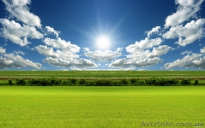 Вблизи от моря,  вдали от суеты! #1352159