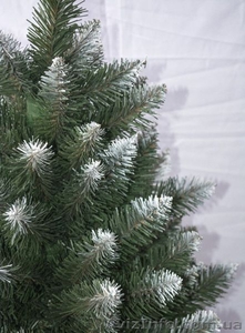 Красивая Ель Принцесса #1345552