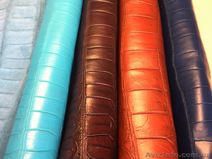 Экзотическая кожа #1348206