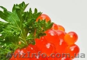 Икра красная,  лососевая #1344257