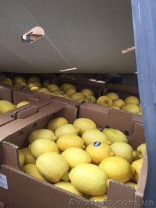 Продам оптом Апельсин,  Мандарин,  Лимон Турция,  Харьковская обл,  г. Киев #1350003