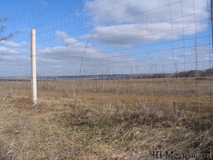 Самый дешевый забор из сетки Казачка облегченной #1353381