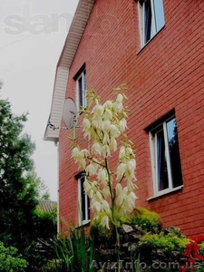 Дом посуточно в частном секторе #1353017