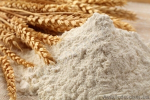 Продам муку пшеничную оптом. #1347501