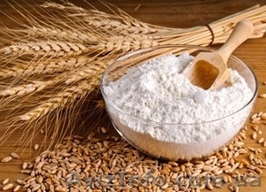 Продам муку оптом. #1350231