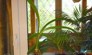 Срочно! Продается 1к.квартира