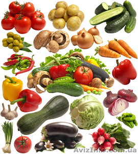 Продам семена оптом #1349772