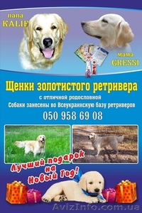 Щенки Золотистого ретривера Краматорск #1351006