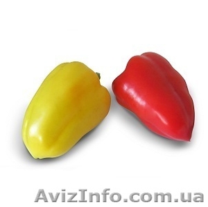 Семена перца сладкого Яника F1 1000 семян (Kitano Seeds) #1353051