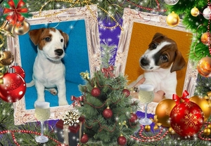 Предпраздничное волшебное предложение #1348740