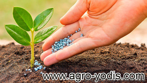 Средства защиты растений: гербициды,  фунгициды,  протравители,  инсектициды #1361769