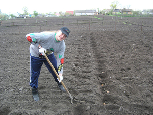 Копка огорода спил дерева покос травы #1360516