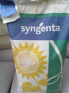Семена подсолнечника Syngenta (Сингента) Брио,  Рокки,  Неома #1365309