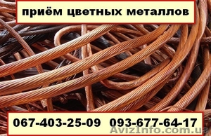 Лом меди цена Киев. 067 403 25 09 Сдать медь дорого киев. #1359314
