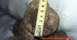 ДАР ЗЕМЛИ - оптовая продажа овощей и фруктов в  Донецке. #1184131