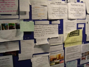 Размещение рекламы на топовых досках обьявлений по Украине. #1361956