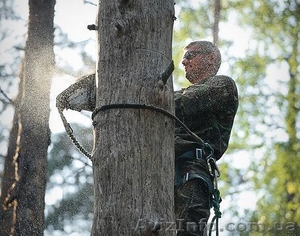 Уборка деревьев с участка #1365680