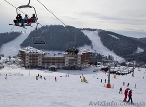 Карпатский отдых #1365764